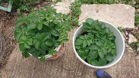 Getting Through the Coronavirus Crisis Image